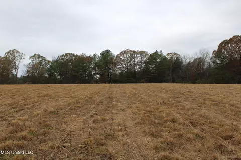 4 Rice Chapel Rd, Lamar, MS 38642 photo 10