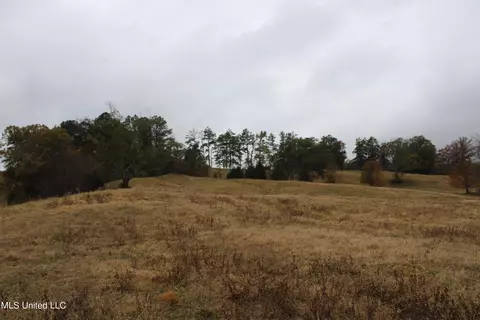 4 Rice Chapel Rd, Lamar, MS 38642 photo 2