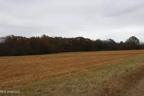 4 Rice Chapel Rd, Lamar, MS 38642 photo 12