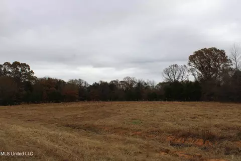4 Rice Chapel Rd, Lamar, MS 38642 photo 20