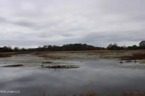 4 Rice Chapel Rd, Lamar, MS 38642 photo 23