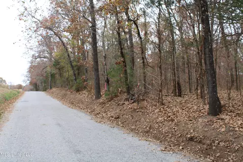 4 Rice Chapel Rd, Lamar, MS 38642 photo 3