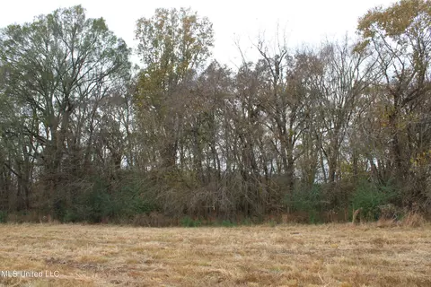 4 Rice Chapel Rd, Lamar, MS 38642 photo 15