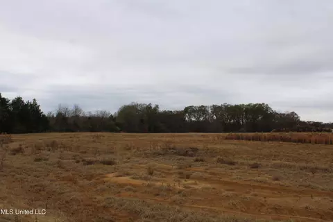 4 Rice Chapel Rd, Lamar, MS 38642 photo 18