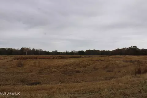 4 Rice Chapel Rd, Lamar, MS 38642 photo 17
