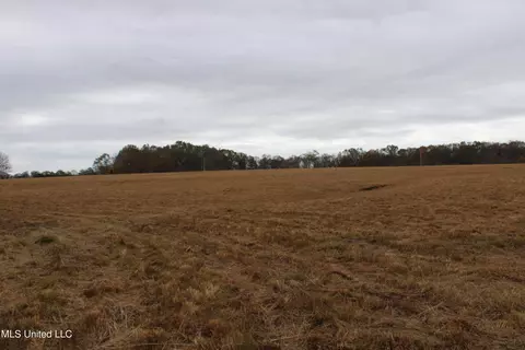 4 Rice Chapel Rd, Lamar, MS 38642 photo 9