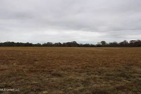 4 Rice Chapel Rd, Lamar, MS 38642 photo 14