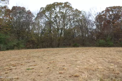 4 Rice Chapel Rd, Lamar, MS 38642 photo 4