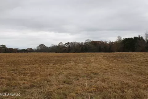 4 Rice Chapel Rd, Lamar, MS 38642 photo 16