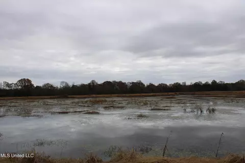 4 Rice Chapel Rd, Lamar, MS 38642 photo 25