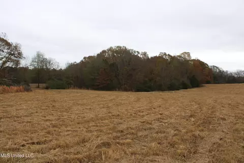 4 Rice Chapel Rd, Lamar, MS 38642 photo 5