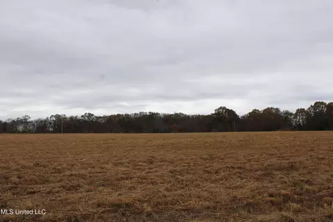 4 Rice Chapel Rd, Lamar, MS 38642 photo 11