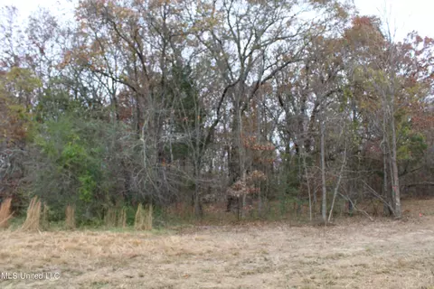 4 Rice Chapel Rd, Lamar, MS 38642 photo 8