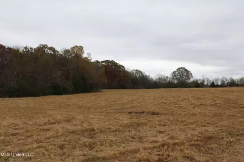 4 Rice Chapel Rd, Lamar, MS 38642 photo 7