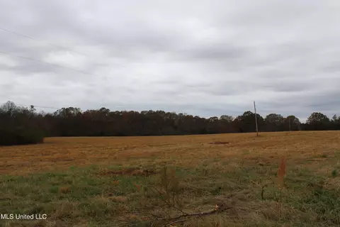 4 Rice Chapel Rd, Lamar, MS 38642 photo 29