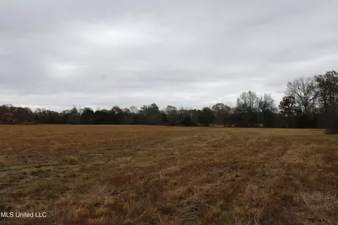 4 Rice Chapel Rd, Lamar, MS 38642 photo 13