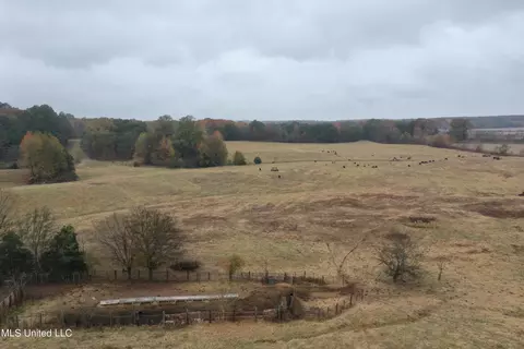 2121 Evansville Rd, Senatobia, MS 38668