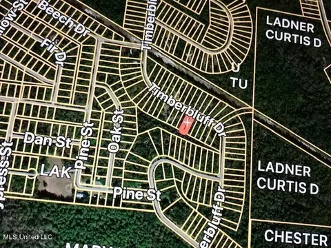 Timberbluff Drive, Lumberton, MS 39455