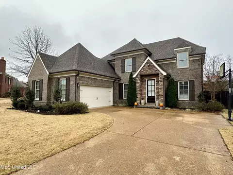 4420 E Robinson Loop, Olive Branch, MS 38654 photo 3