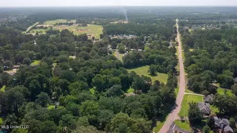 421 Louis Wilson Dr, Brandon, MS 39042