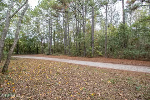 12368 School Rd, Saucier, MS 39574 photo 30
