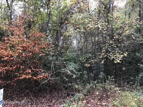 River Loop, Beaumont, MS 39423