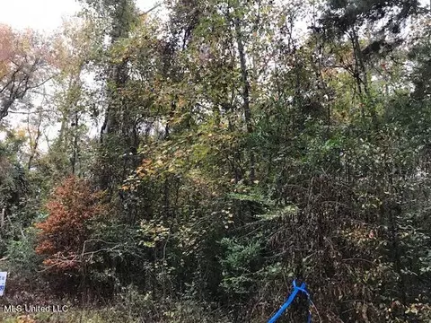 River Loop, Beaumont, MS 39423 photo 1