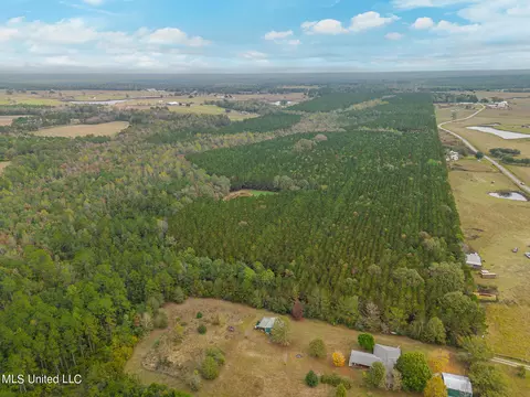 Jordan Road, Perkinston, MS 39573 photo 7