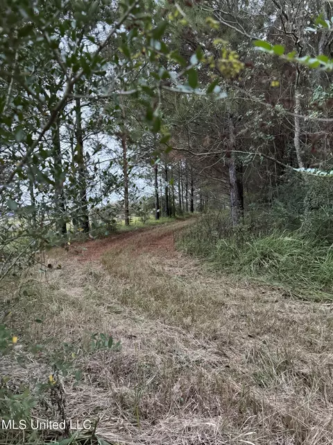 Jordan Road, Perkinston, MS 39573 photo 21