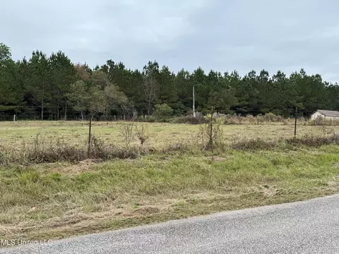 Jordan Road, Perkinston, MS 39573 photo 12