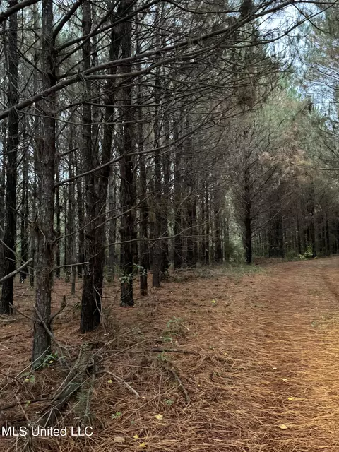 Jordan Road, Perkinston, MS 39573 photo 18