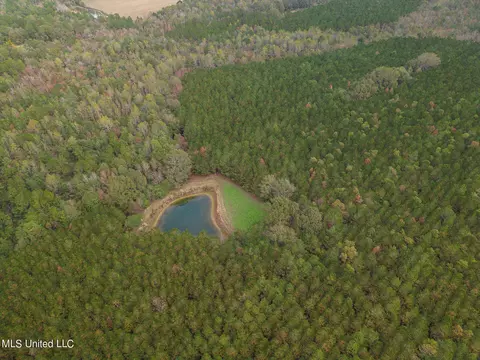Jordan Road, Perkinston, MS 39573 photo 6