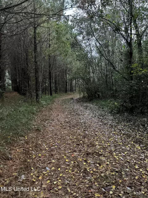 Jordan Road, Perkinston, MS 39573 photo 20