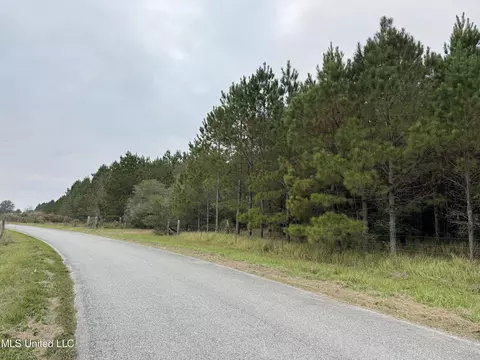 Jordan Road, Perkinston, MS 39573 photo 11