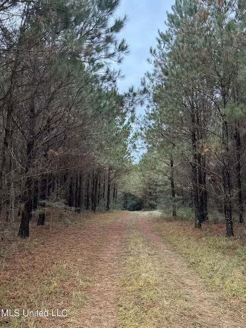 Jordan Road, Perkinston, MS 39573 photo 16