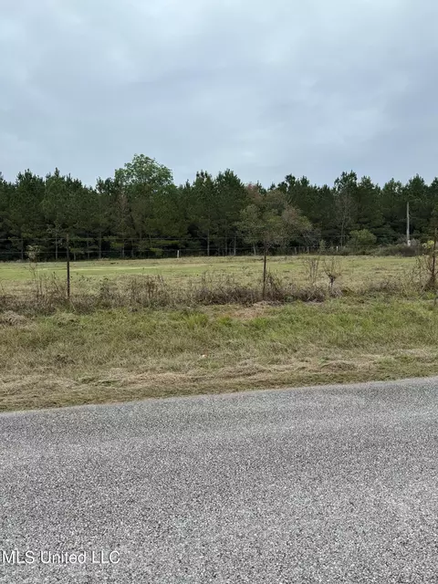 Jordan Road, Perkinston, MS 39573 photo 13