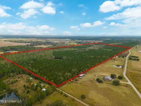 Jordan Road, Perkinston, MS 39573 photo 5