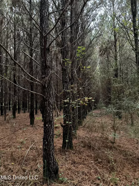 Jordan Road, Perkinston, MS 39573 photo 19
