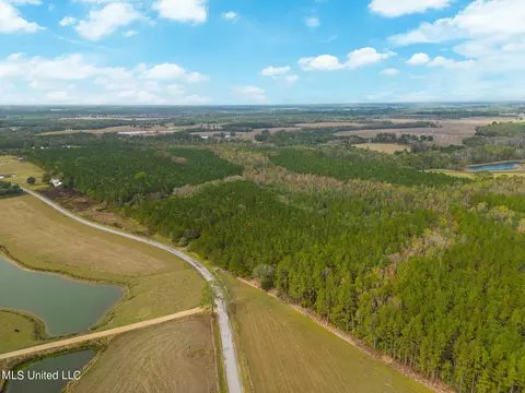 Jordan Road, Perkinston, MS 39573 photo 10