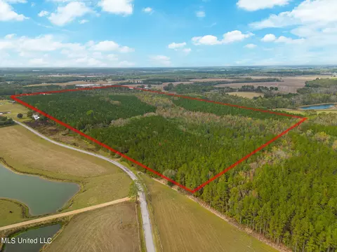 Jordan Road, Perkinston, MS 39573 photo 2