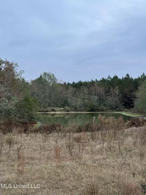 Jordan Road, Perkinston, MS 39573 photo 14