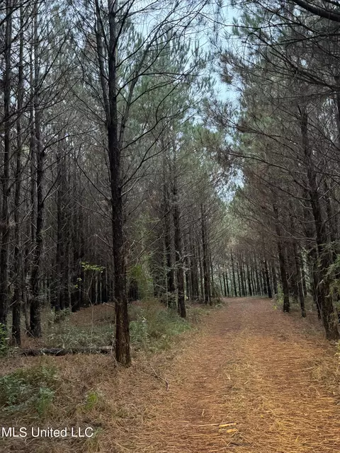 Jordan Road, Perkinston, MS 39573 photo 17