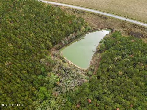 Jordan Road, Perkinston, MS 39573 photo 3