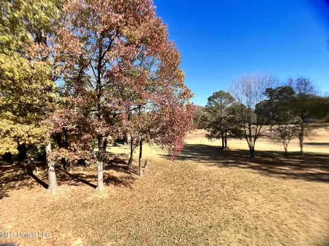 1448 Whitetail Dr, Hernando, MS 38632 photo 47