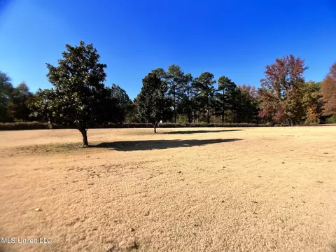 1448 Whitetail Dr, Hernando, MS 38632 photo 49