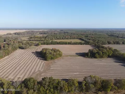 Old Hwy 43, Pelahatchie, MS 39145