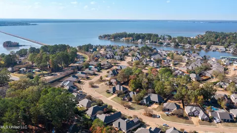 223 Lighthouse Ln, Brandon, MS 39047 photo 101