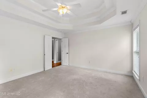 223 Lighthouse Ln, Brandon, MS 39047 photo 34