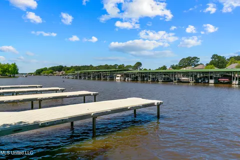 223 Lighthouse Ln, Brandon, MS 39047 photo 47