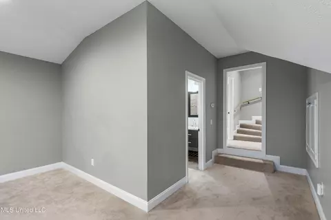 223 Lighthouse Ln, Brandon, MS 39047 photo 92